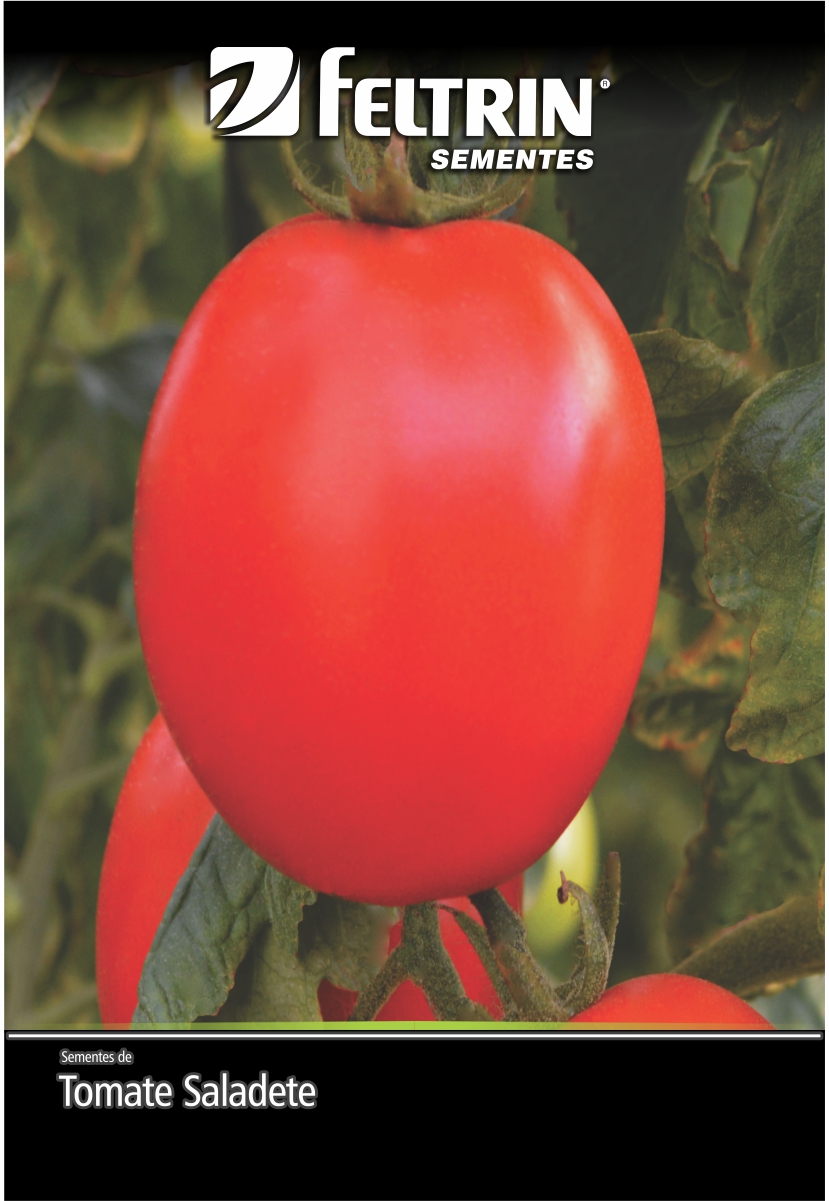 SEM TOMATE BARTO - GOLDEN