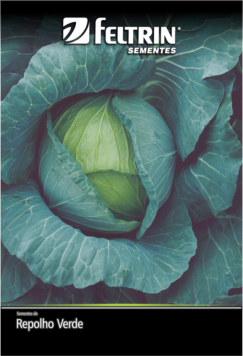 SEM REPOLHO 60 DIAS - ECONOMICA