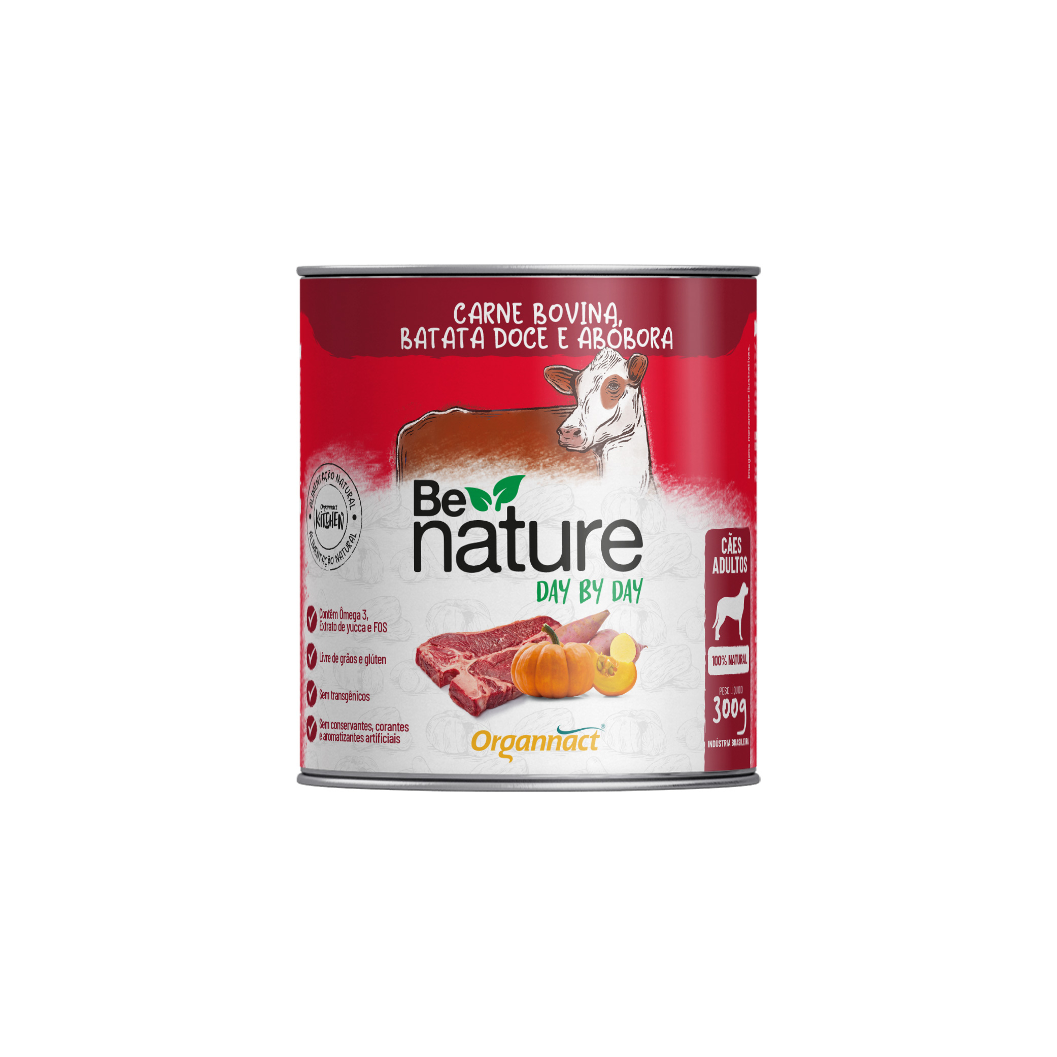 BE NATURE DAY CAES ADULTOS SABOR CARNE BOVINA 300G