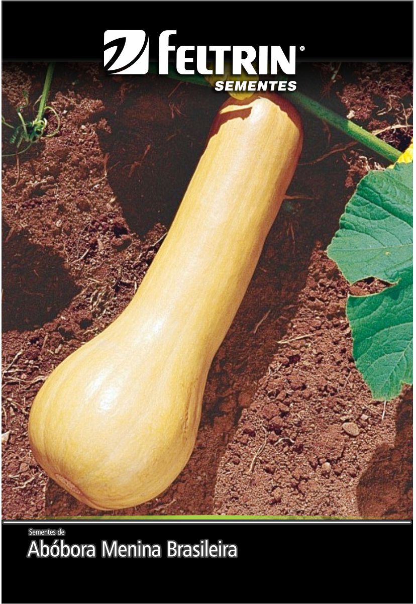 SEM ABOBORA MENINA BRASILEIRA - BOX