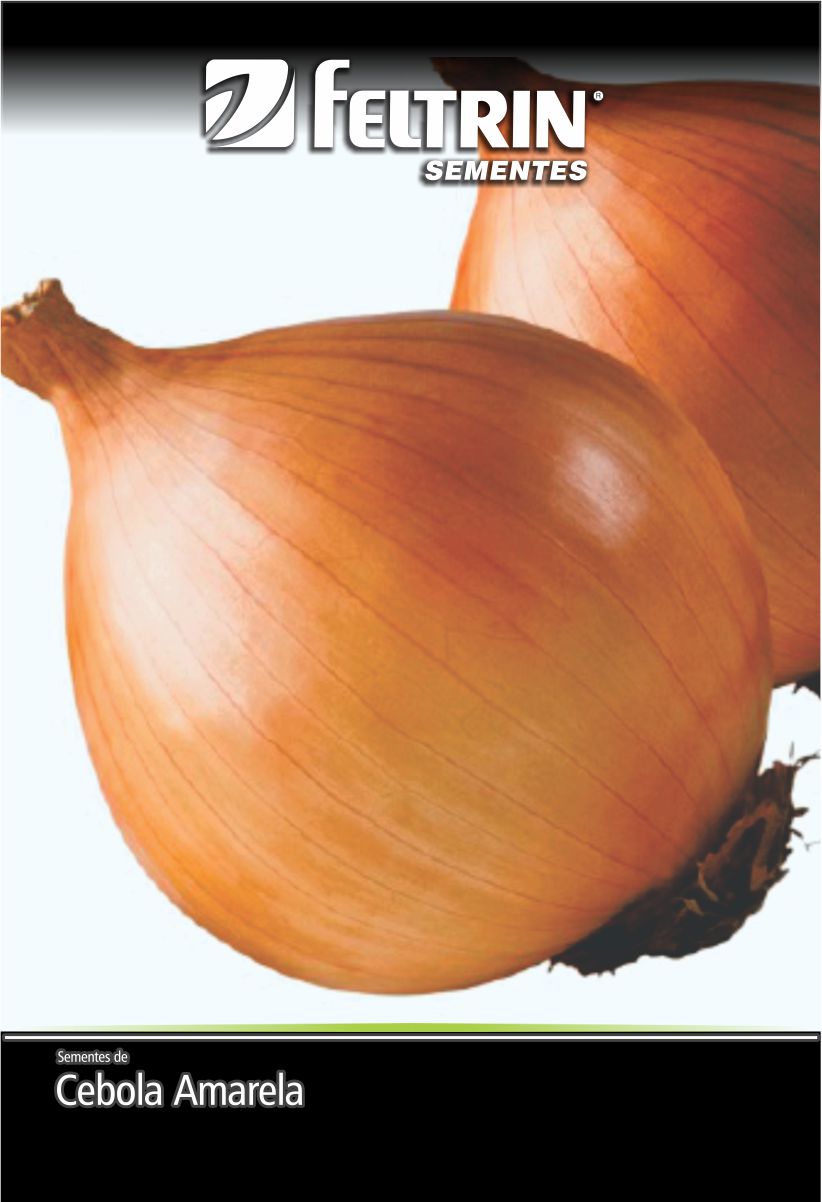 SEM CEBOLA BAIA HERVAL - ECONOMICA