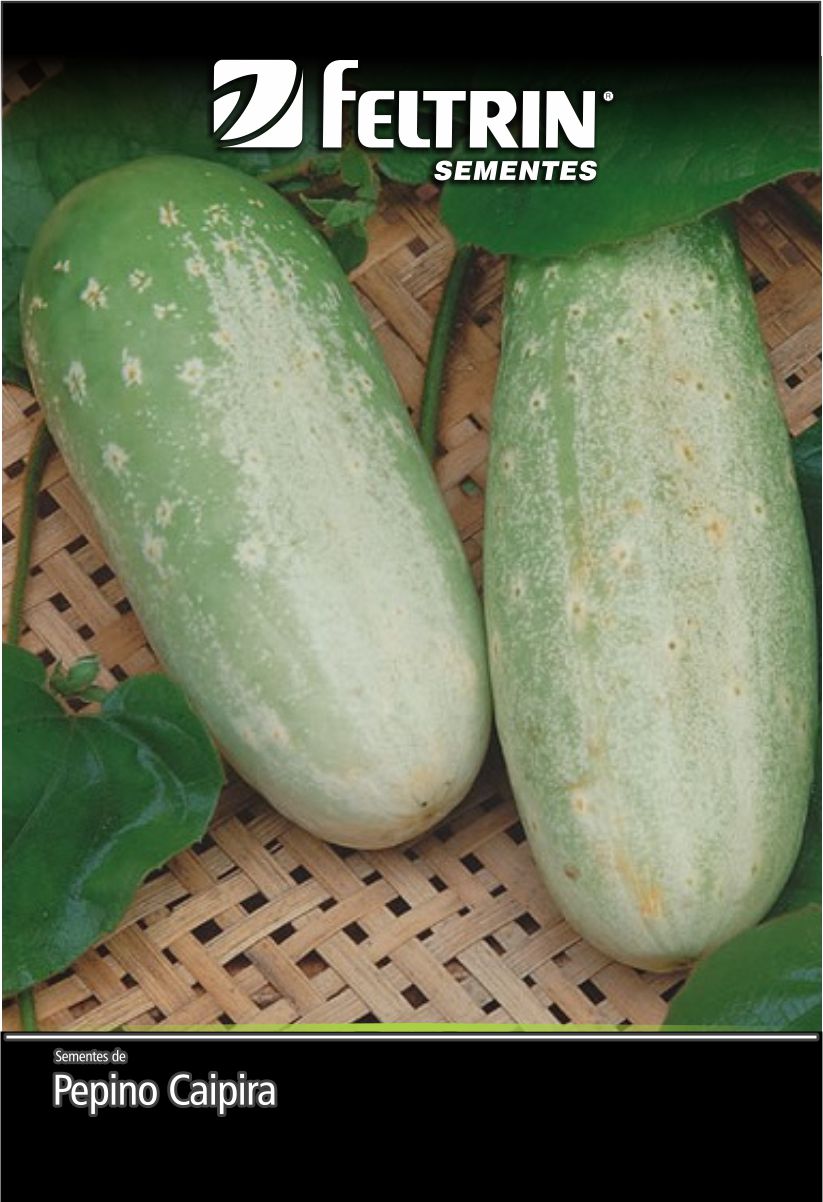 SEM PEPINO ESMERALDA TIPO CAIPIRA - GOLDEN