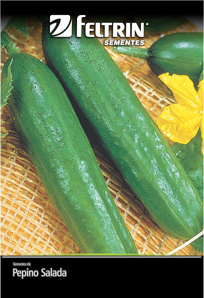 SEM PEPINO SALADA AODAI - BOX