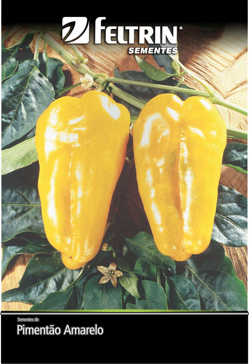 SEM PIMENTAO AMARELO SF 134 - GOLDEN