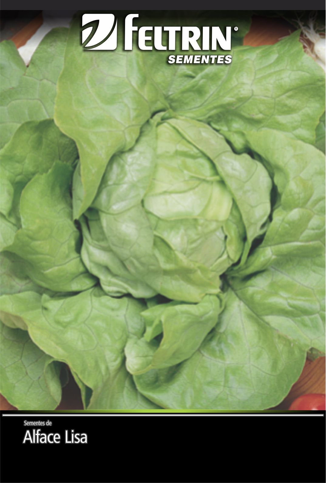 SEM ALFACE REPOLHUDA TODO ANO - ECONOMICA