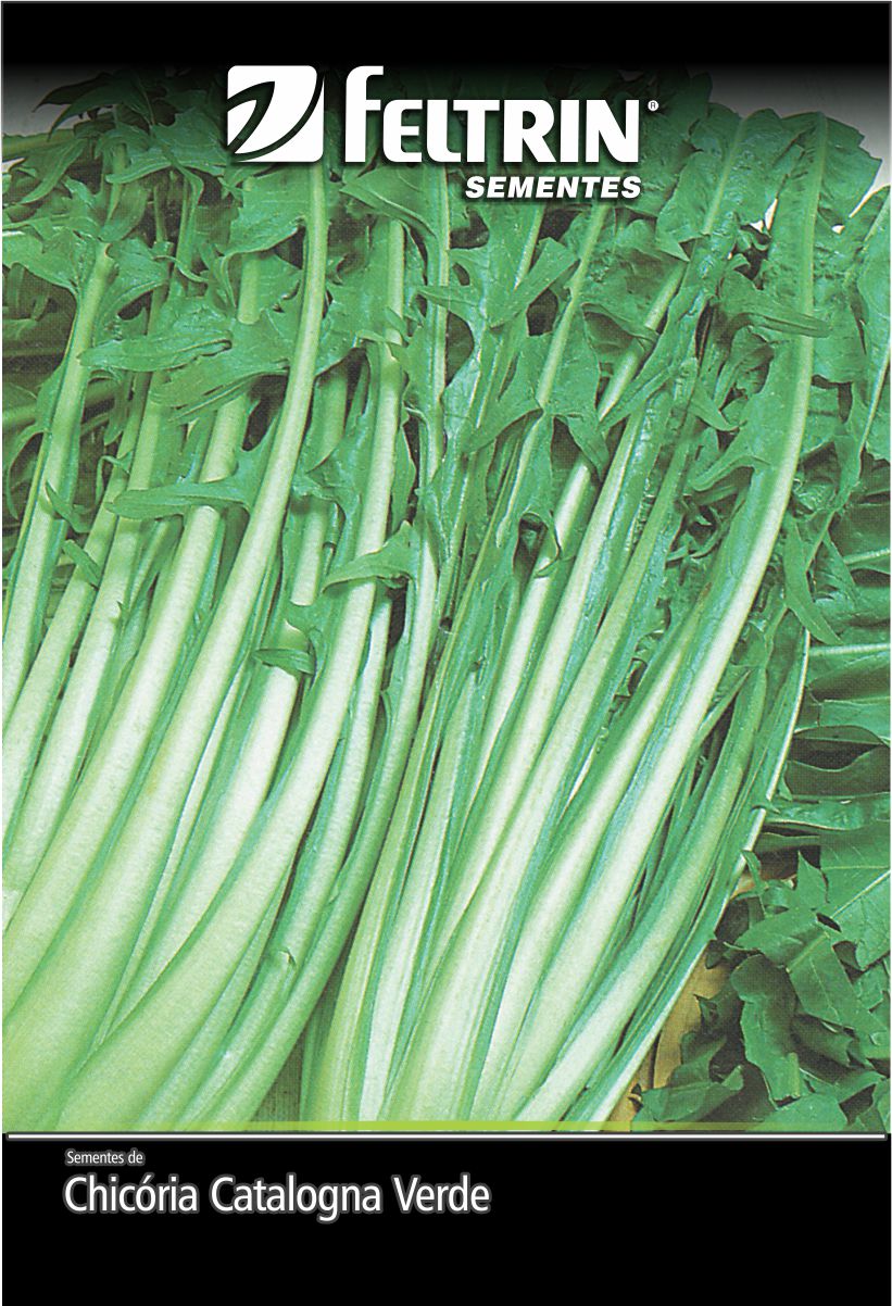 SEM CHICORIA CATALOGNA FOLHA LARGA - ECONOMICA
