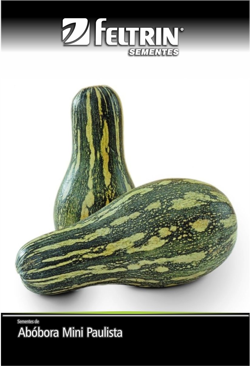 SEM ABOBORA MINI PAULISTA ISABELLA  - GOLDEN