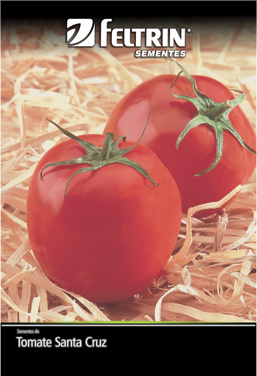 SEM TOMATE SANTA CRUZ KADA GIGANTE - ECONOMICA