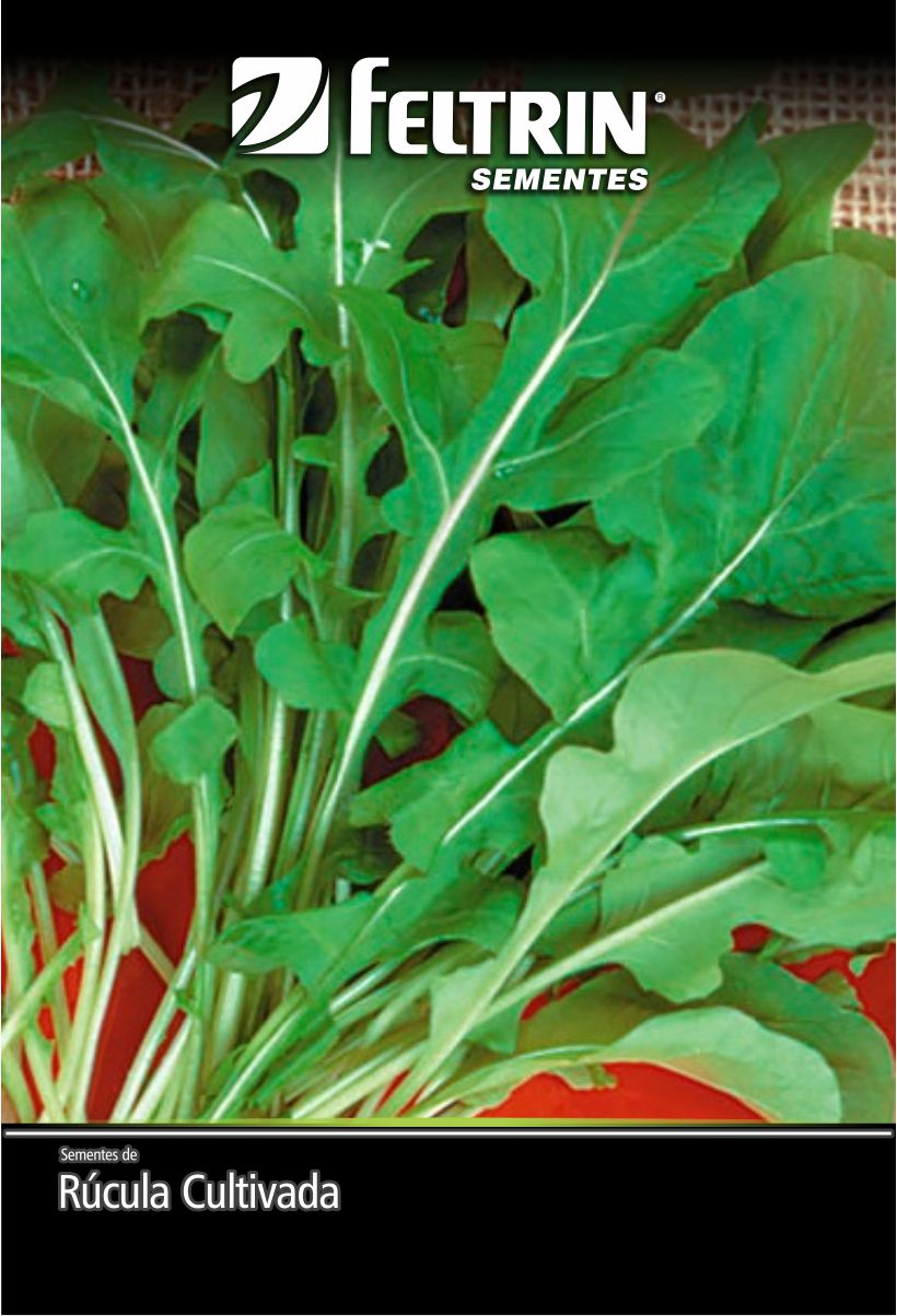SEM RUCULA CULTIVADA - ECONOMICA