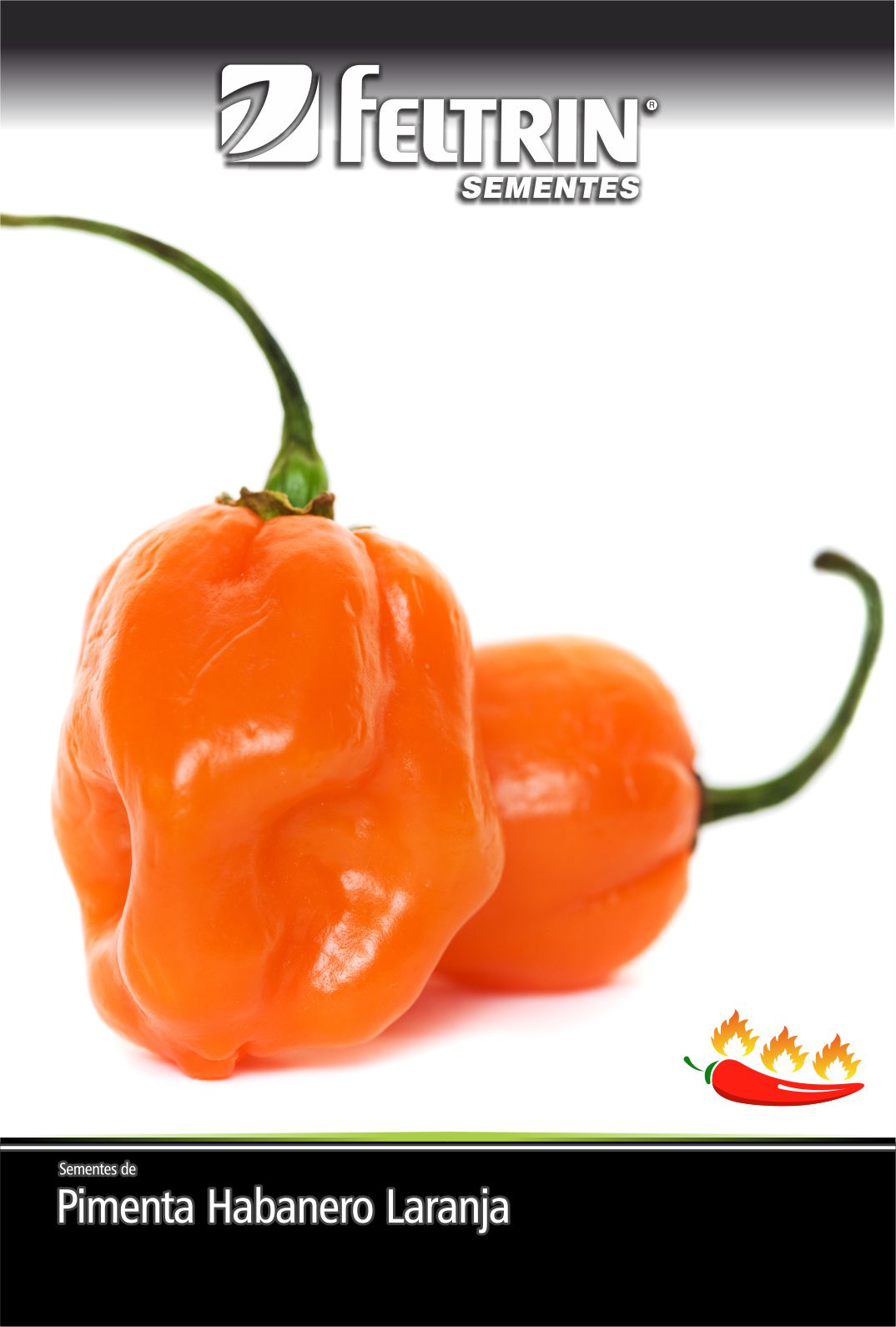 SEM PIMENTA MIGUELITA - GOLDEN