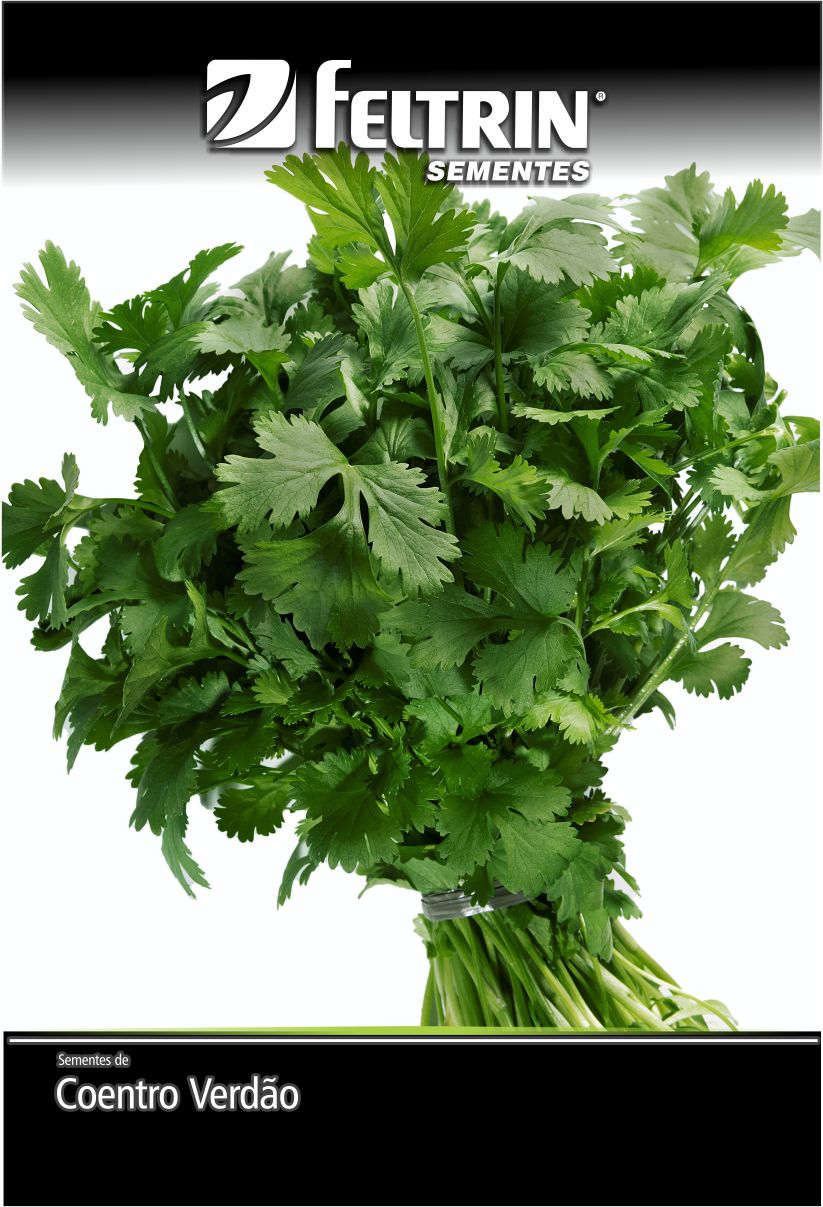 SEM COENTRO VERDAO SF 177 - GOLDEN