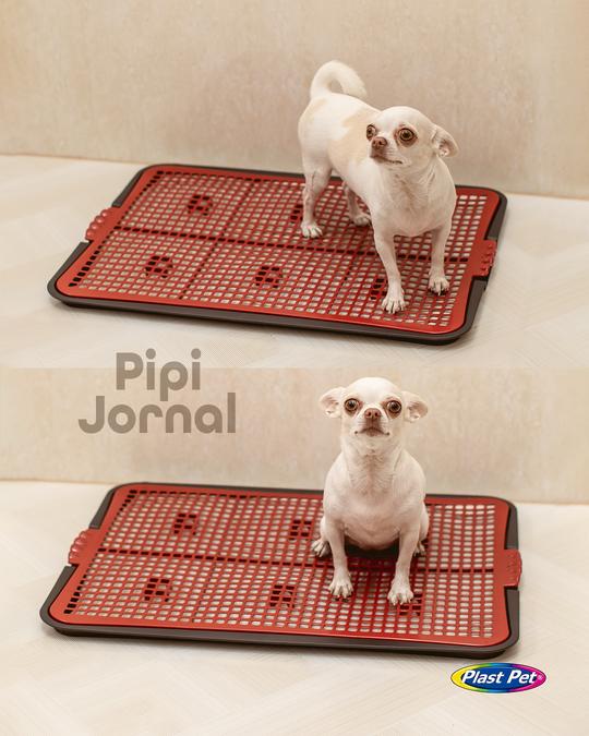SANITARIO CAES PIPI JORNAL ECO - VERMELHO