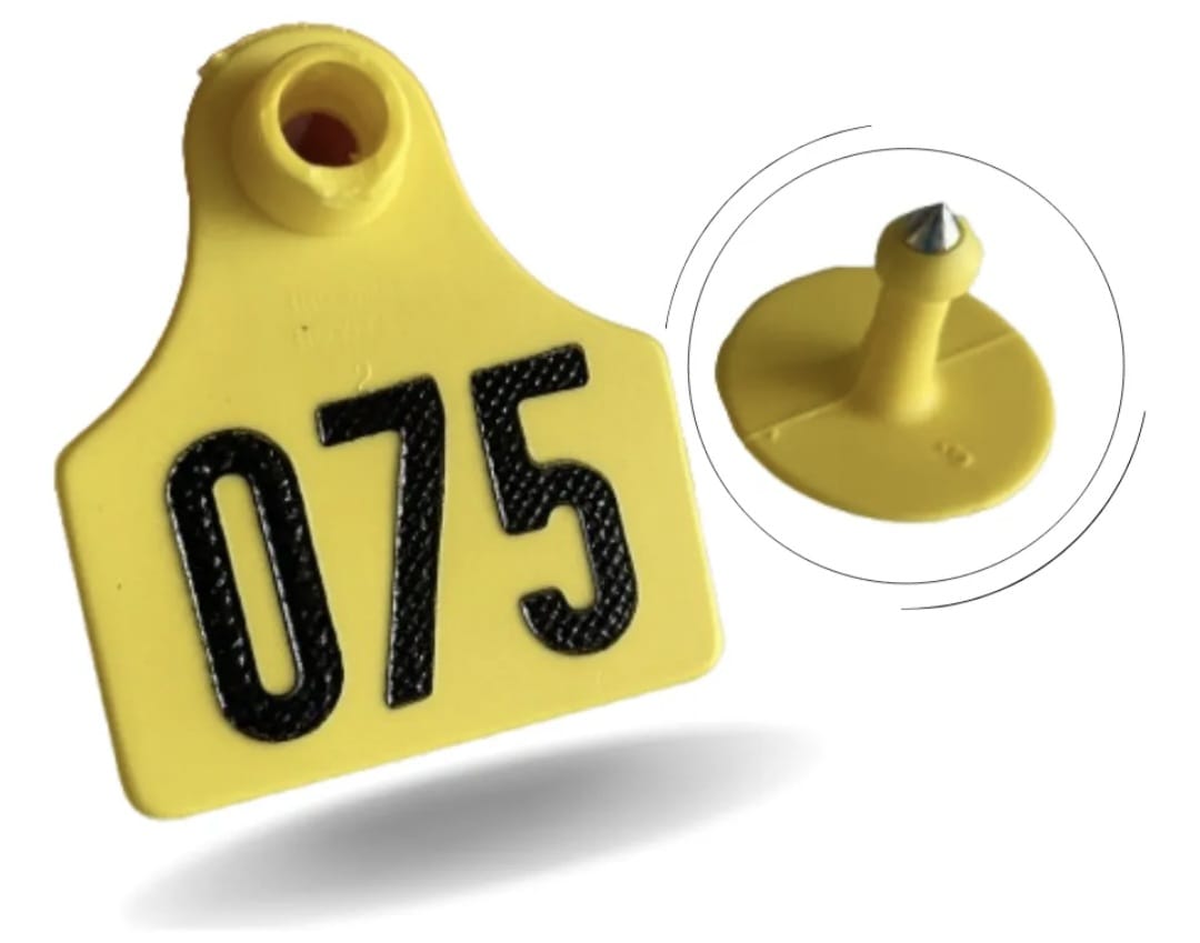 BRINCO MEDIO AMARELO 151 A 175