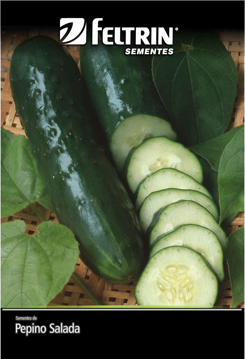 SEM PEPINO VERDE COMPRIDO - GOLDEN