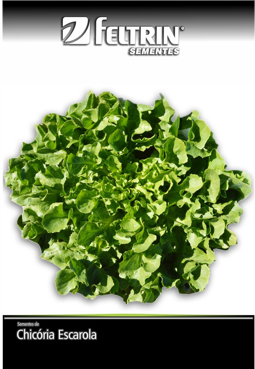 SEM CHICORIA GIGANTE BARBARELLA - BOX