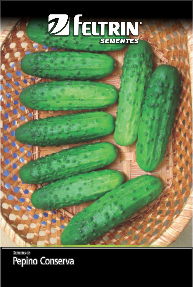 SEM PEPINO CONSERVA PIONEIRO - GOLDEN