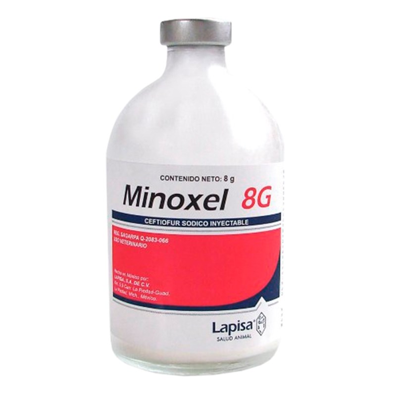 MINOXEL 8G