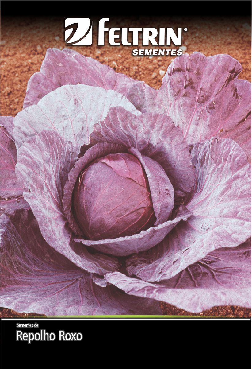 SEM REPOLHO ROXO MAMMOUTH RED ROCK - ECONOMICA