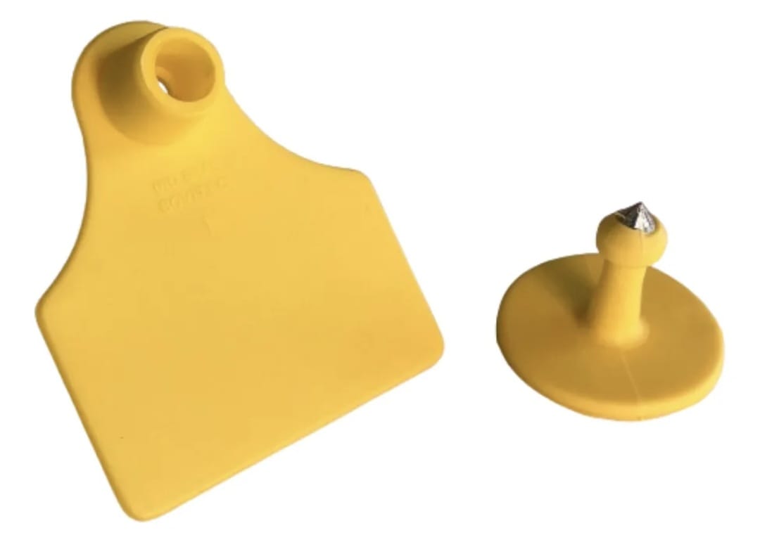 BRINCO MEDIO AMARELO