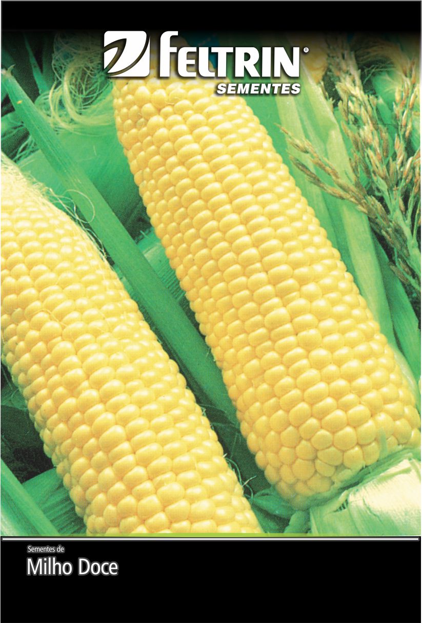 SEM MILHO SUPER DOCE ARUBA - GOLDEN