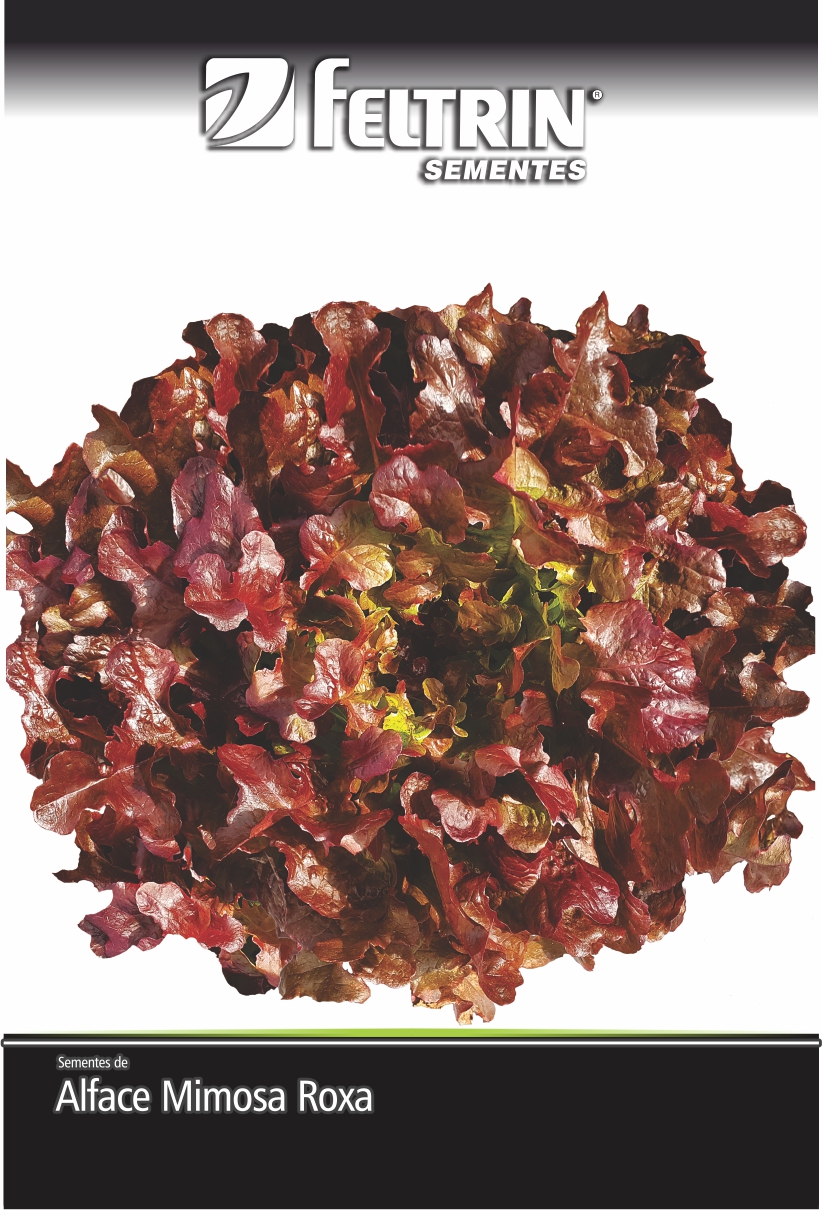 SEM ALFACE BETANIA - BOX