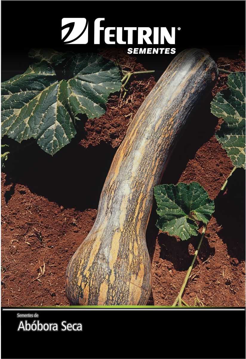 SEM ABOBORA RAJADA SECA MELHORADA 100 G