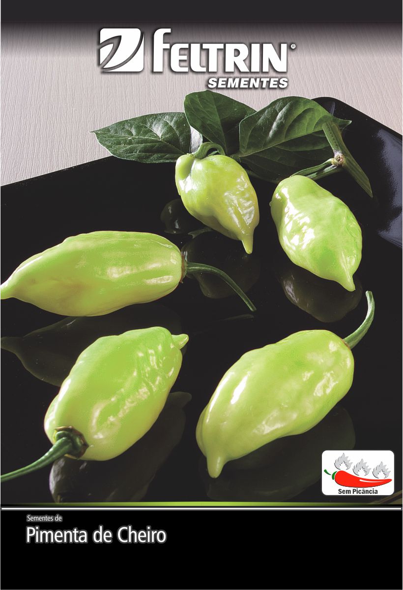 SEM PIMENTA LUPITA SOB ENCOMENDA - GOLDEN